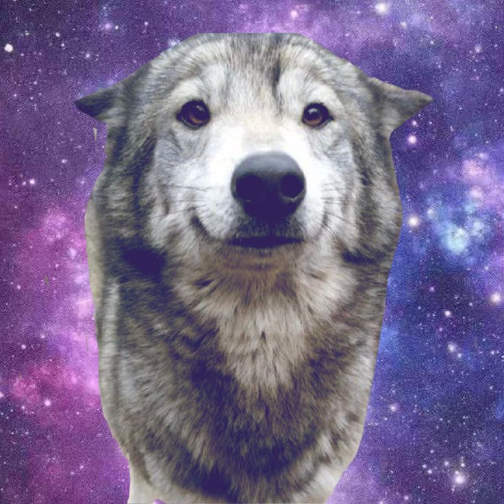 pattwqh